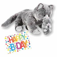 Pluche knuffel kat/poes grijs 32 cm met A5-size Happy Birthday wenskaart - thumbnail