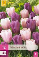 Tulpen macaron mix 12 bollen