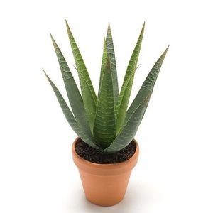 Kunstplant Aloe Vera - groen - in terracotta pot - 23 cm   -