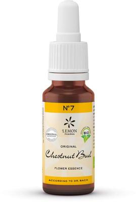 Lemonpharma Bach Bach bloesemremedies chestnut bud bio