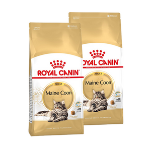 Royal Canin Adult Maine Coon kattenvoer 2 x 10 kg