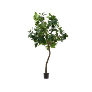 Kave Home Kunstplant Ficus 210cm hoog - Groen