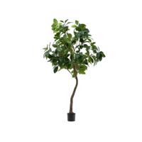 Kave Home Kunstplant Ficus 210cm hoog - Groen - thumbnail