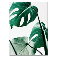 Plant blad Engelse brief art posters prints kunst muur Foto's zonder frame grootte: 15 × 20cm (groen blad)