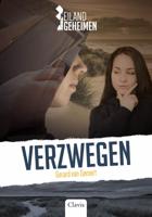 Verzwegen (Hardback)