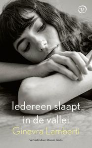 Iedereen slaapt in de vallei - Ginevra Lamberti - ebook