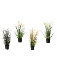 Decoris Kunstplant Gras Sorten In Pot PVC Plume - Grass - Cattail - Dandelion