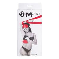 Grote Plezierset Sportsheets Beginner 3 Onderdelen