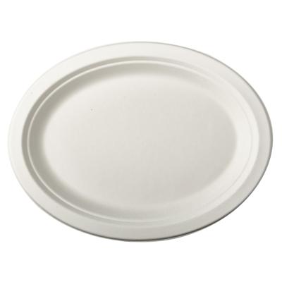 12x Witte suikerriet schaal 26 x 20 cm biologisch afbreekbaar