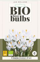 Crocus Jeanne d'Arc 8 bollen - Jub
