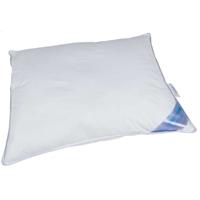 Leen Bakker - Polydaun Hoofdkusssen Guusje - 60x70 Cm - Synthetisch - Wit