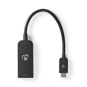 USB-Adapter | USB 3.2 Gen 1 | USB-C© Male | DisplayPort Female | 0.20 m | Rond | Vernikkeld | PVC