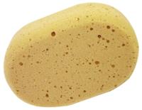Aqualine ovalen spons ft 20 x 14 x 7 cm Aqualine ovalen spons ft 20 x 14 x 7 cm