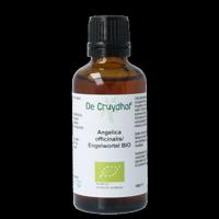 Cruydhof Angelica officinalis/engelwortel tinctuur bio 50 Milliliter