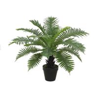 Decoratieve plant Home ESPRIT PVC Vaatplant 80 x 80 x 60 cm