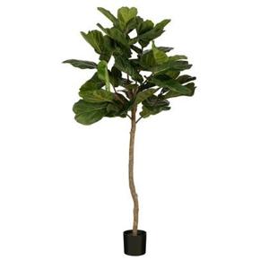 Mica Decorations Ficus Lyrata Kunstplant - H165 x Ø95 - Groen