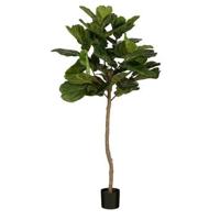 Mica Decorations Ficus Lyrata Kunstplant - H165 x Ø95 - Groen