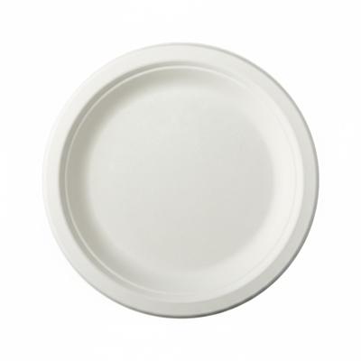 12x Witte suikerriet lunchbordjes 23 cm biologisch afbreekbaar