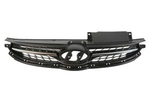 Radiateurgrille 6502073171991P