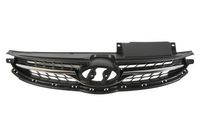 Radiateurgrille 6502073171991P