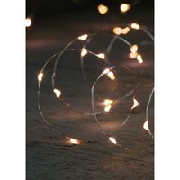 Anna Collection lichtdraad - zilver - met 20 leds - warm wit - 100 cm   - - thumbnail