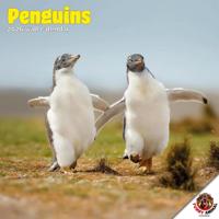 Pinguïns Kalender 2026