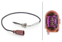 Sensor, uitlaatgastemperatuur 6PT014494231