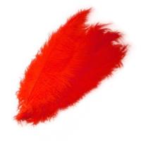 Carnaval verkleed veer/struisvogelveren - rood - 50 cm - Carnaval - Sierveren/Charleston veren