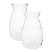 Bloemenvaas Yann - 2x - helder transparant glas - D20 x H30 cm - decoratieve vaas - bloemen/takken