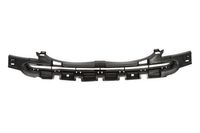 Ventilatiegrille, bumper 6502030519203P