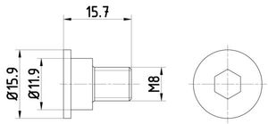 Schroef, remschijf TPM0003