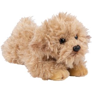 Pluche knuffel dieren Labradoodle hond 30 cm