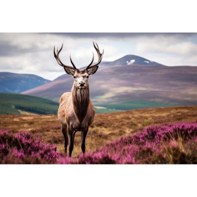 Glasschilderij Edelhert 120x80