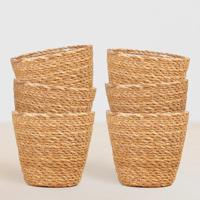 Zeegras plantenpotten bundel - Sofia - P12 (6 stuks) Zeegras plantenpotten bundel - Sofia - P12 (6 stuks)