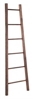 DTP Home Wandrek / Ladder 'Timber' Hout, 175cm