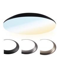 LED Bulkhead - Diameter 38cm - 25 Watt 2600 lumen - CCT Lichtkleur instelbaar - IP65 Waterdicht - Vandalismeproof - Plafonniere - Voor binnen en buiten - Chroom