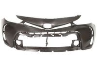 Bumper 5510008197901P