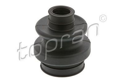 Asmanchet 400737