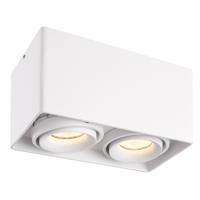 Esto LED Opbouwspot - Vierkant - 2 lichts - Kantelbaar - Dimbaar - 2700K warm wit - GU10 - Opbouwspot - Voor binnen - Vervangbare afdekring - Wit