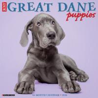 Duitse Dog Puppies Kalender 2026