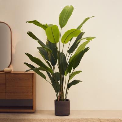 Kave Home Kunstplant 'Banano', Bananenplant (Musa), 210cm hoog, excl. sierpot