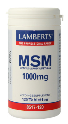 Lamberts MSM 1000mg Tabletten