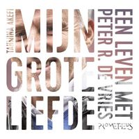 Mijn grote liefde