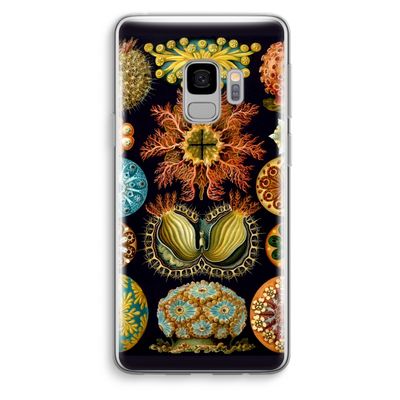 Haeckel Ascidiae: Samsung Galaxy S9 Transparant Hoesje