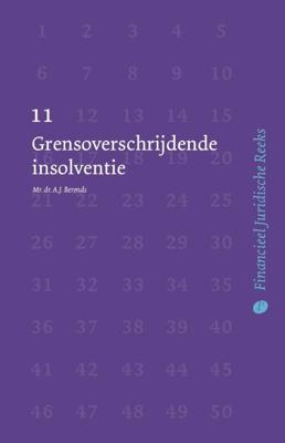 Grensoverschrijdende insolventie (Paperback)