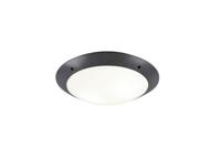 Trio PlafonnièreCamaro 33cm antraciet - R60502042