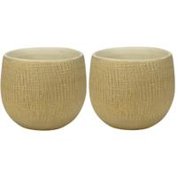 Ter Steege Plantenpot - 2x stuks - moderne look - beige - 15 x 13 cm - bloempot