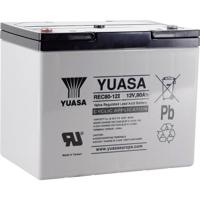 Yuasa REC80-12 Loodaccu 12 V 80 Ah Loodvlies (AGM) (b x h x d) 259 x 212 x 168 mm M6-schroefaansluiting Geringe zelfontlading, Onderhoudsarm, Cyclusbestendig