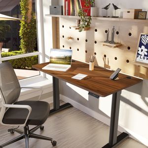 Elektrische Sta Bureau met USB Oplaadpoort 120 x 60 cm In Hoogte Verstelbaar Staande Bureau Ergonomische Computer Werkplek Bruin