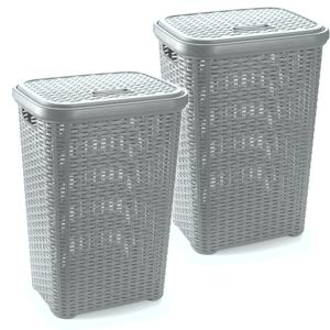 PlasticForte Wasmand met deksel - 2x stuks - 60 liter - lichtgrijs - rotan - kunststof - L35 x B43 x